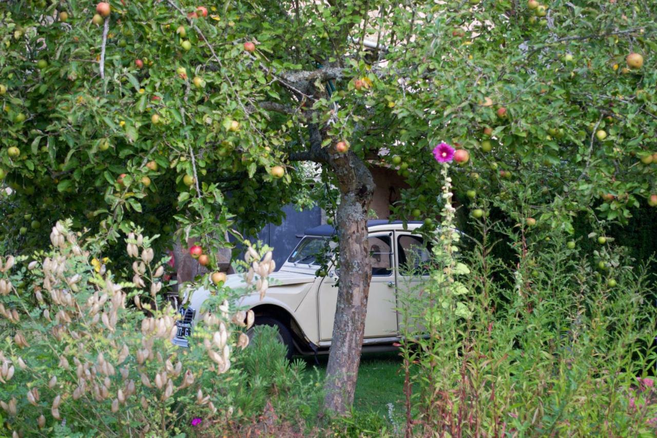 B&B Le Paradis Buxerulles Exterior foto